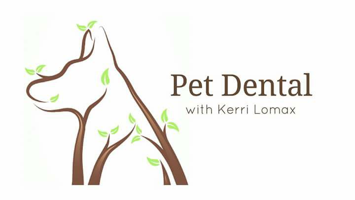 Pet Dental Clinic