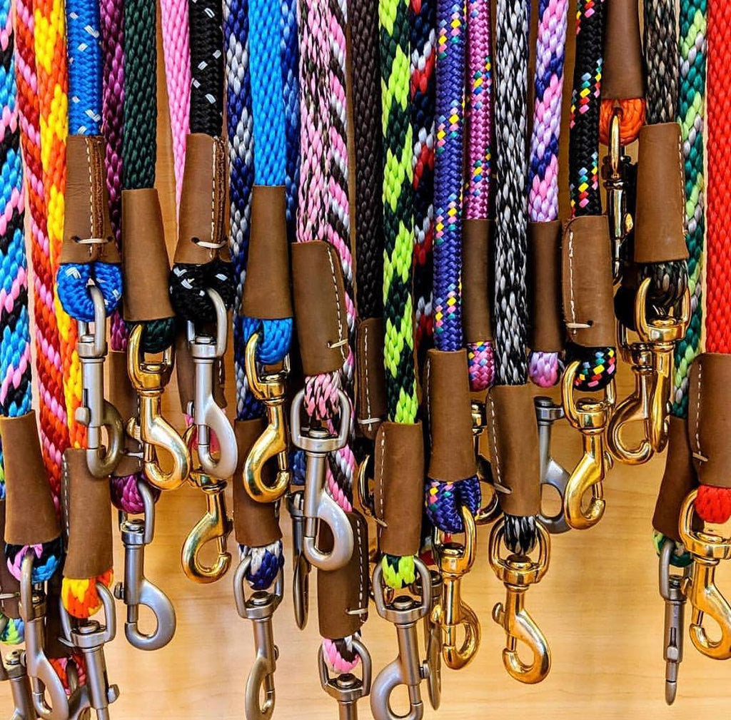 Leashes, Collars & Harnesses