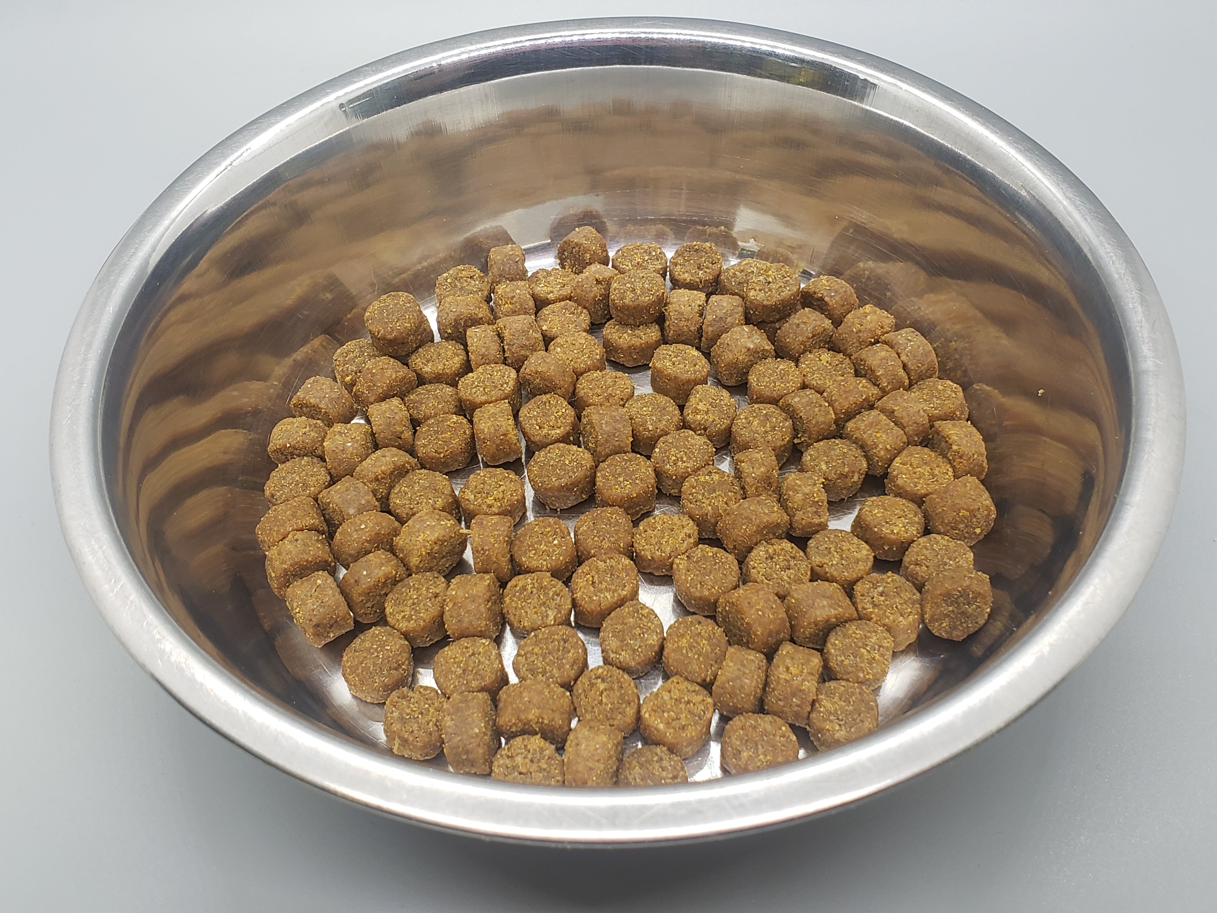 Active k9 dog sales supplies