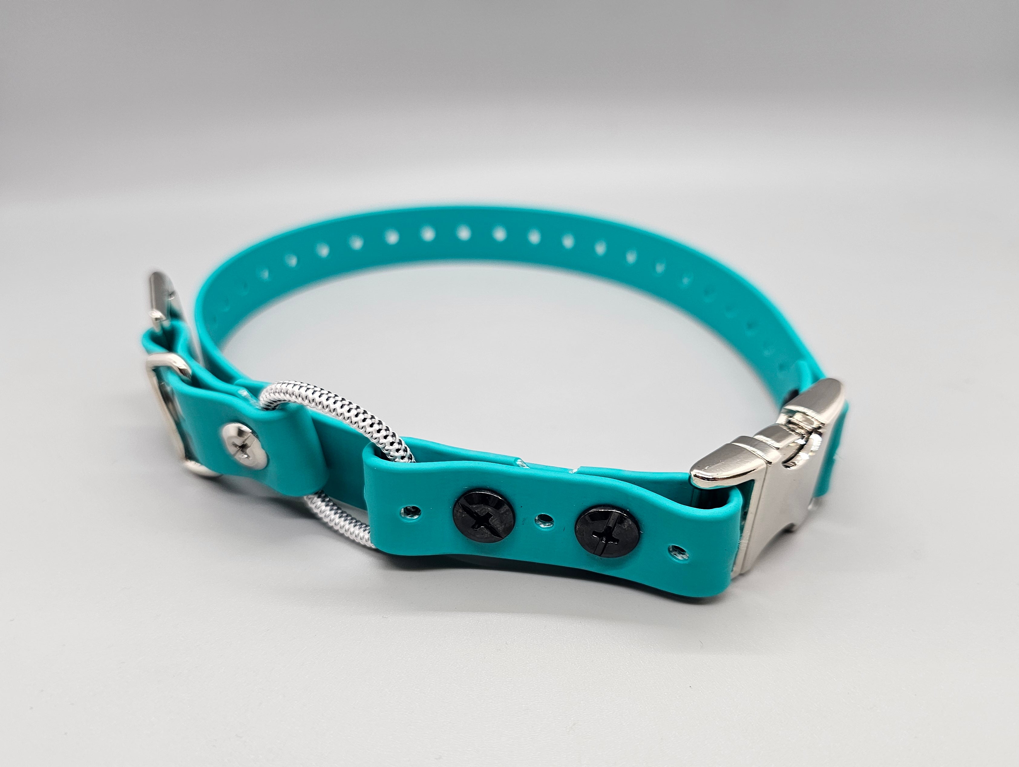 Mini dog collars online