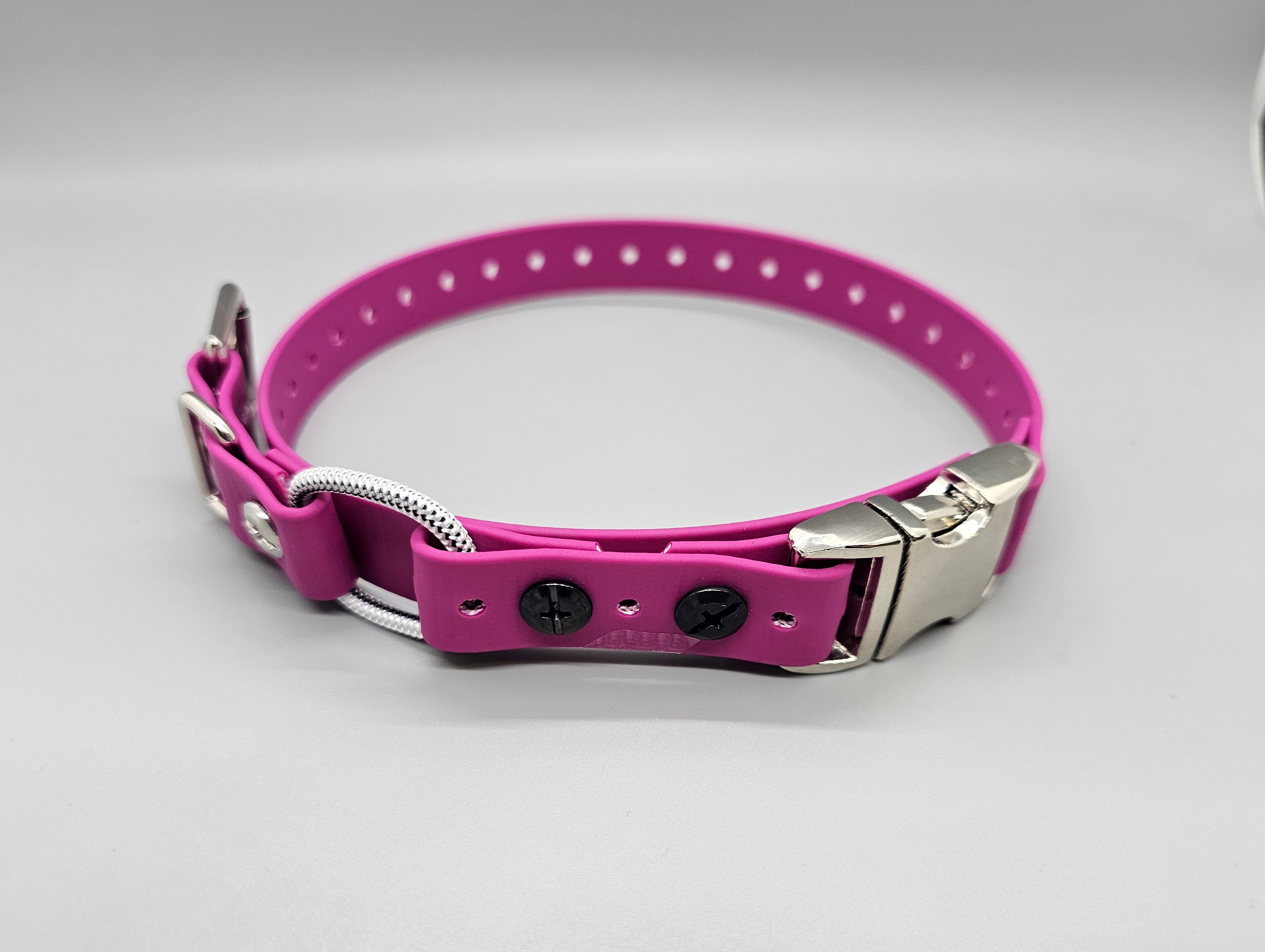 MINI Quick Snap Bungee Collar 3 4 Modern K9