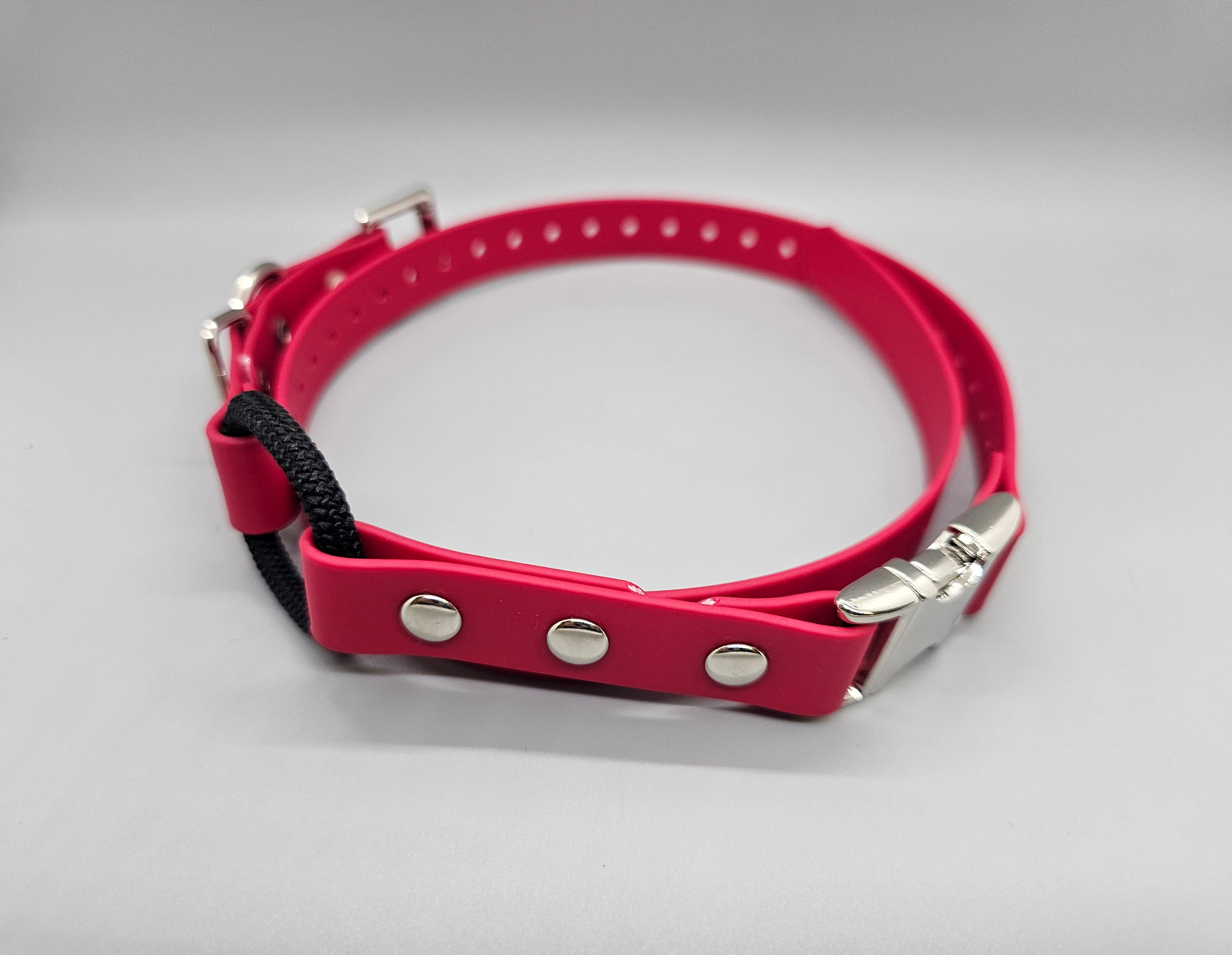 Quick snap bungee collar deals