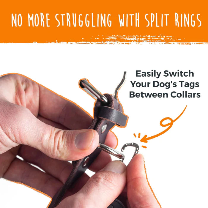 Dog collar hot sale split rings