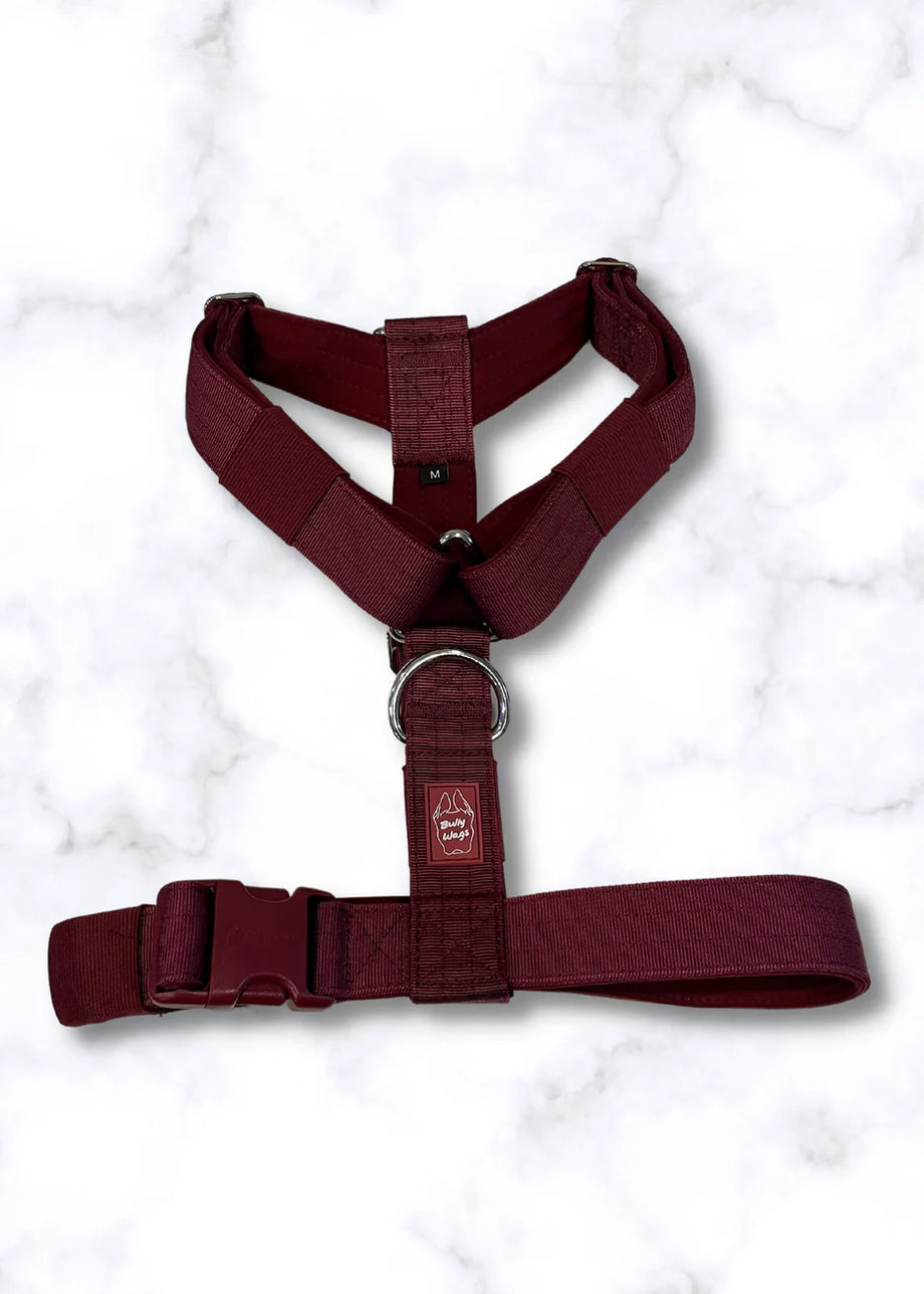 Modern dog harness 2025