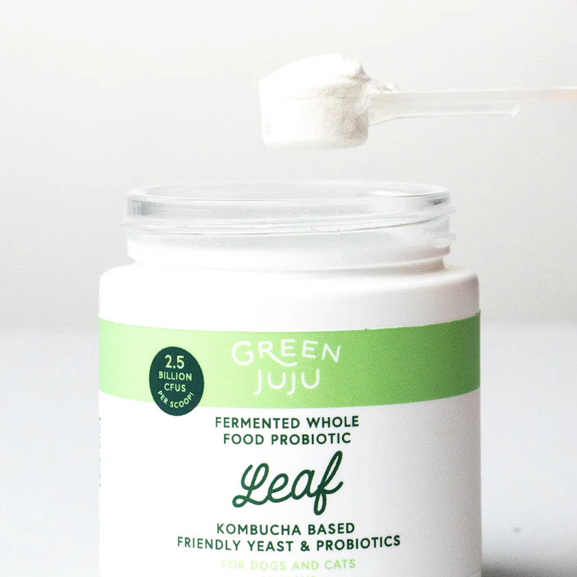 Leaf - Fermented, Kombucha-Based Probiotic -30g – Modern K9
