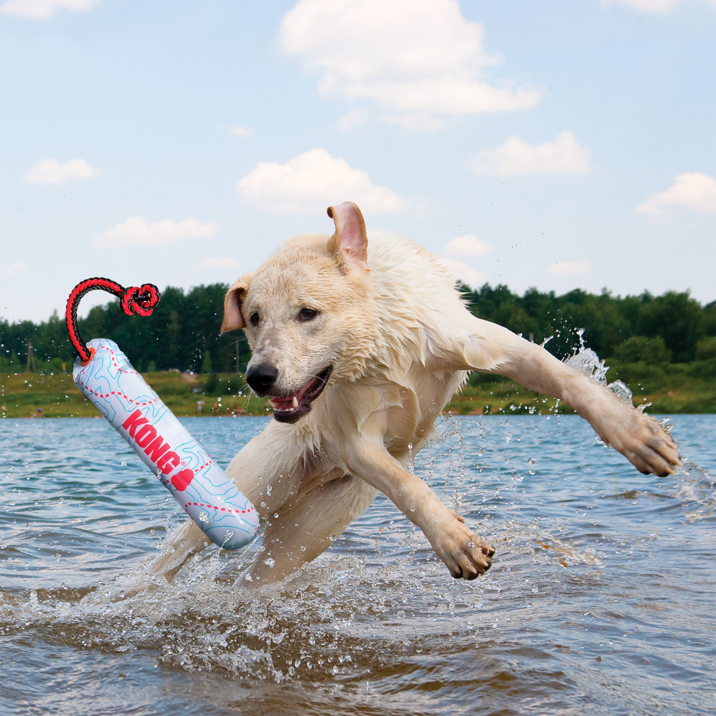 KONG Wild Shieldz Training Dummy – Modern K9 KONG Wild Shieldz Training Dummy – Modern K9