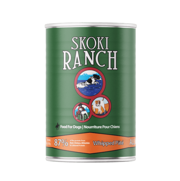 Skoki Can -Ranch – Modern K9