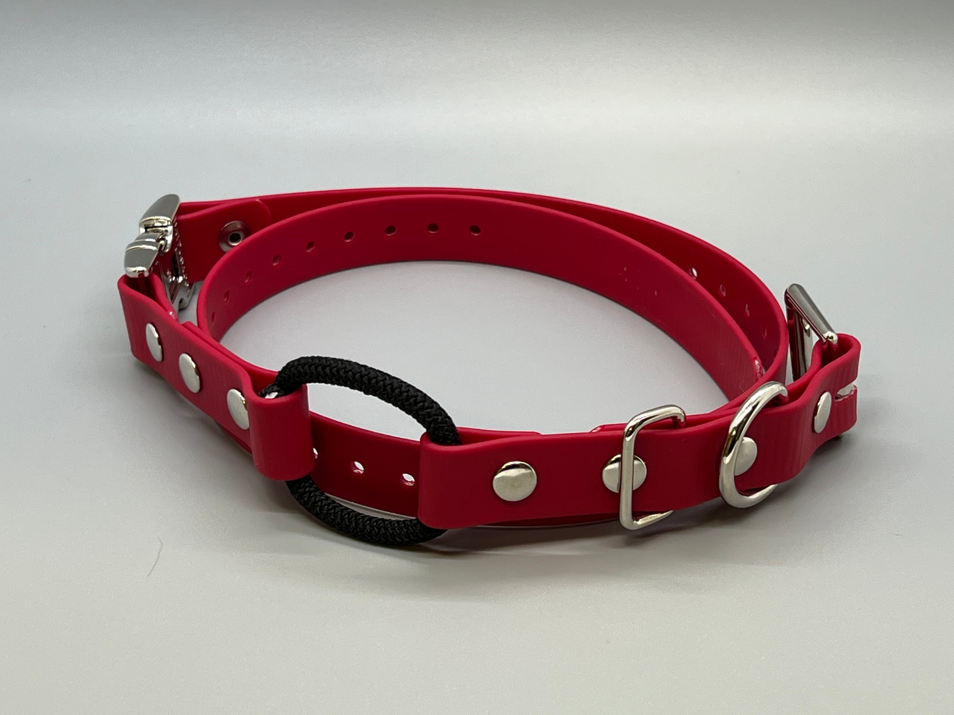 Mini educator bungee collar online