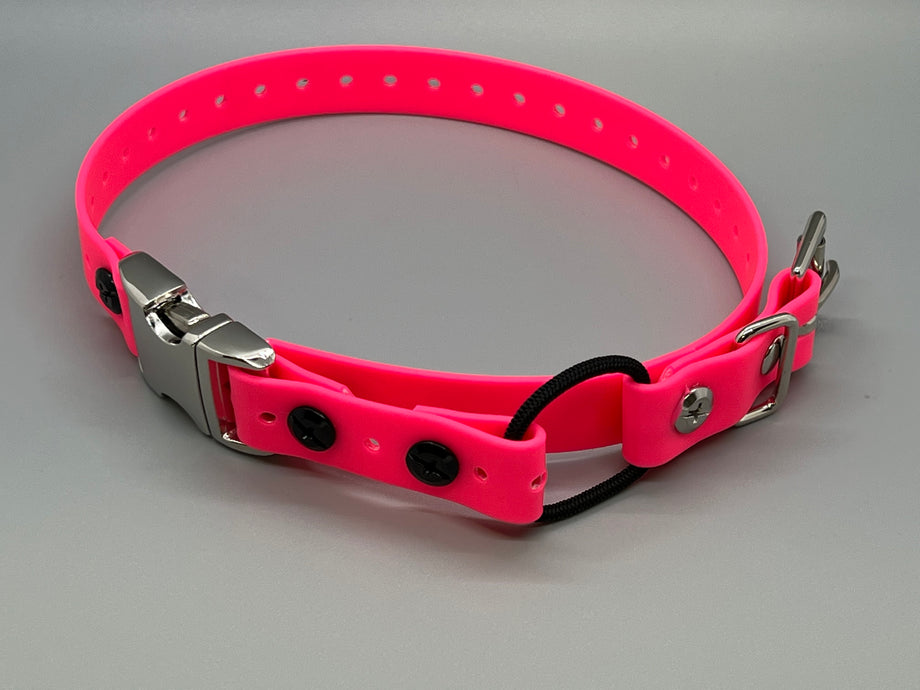 Bungee dog collar best sale